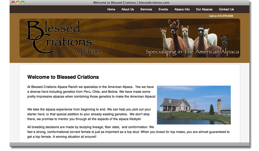 Example_website_1