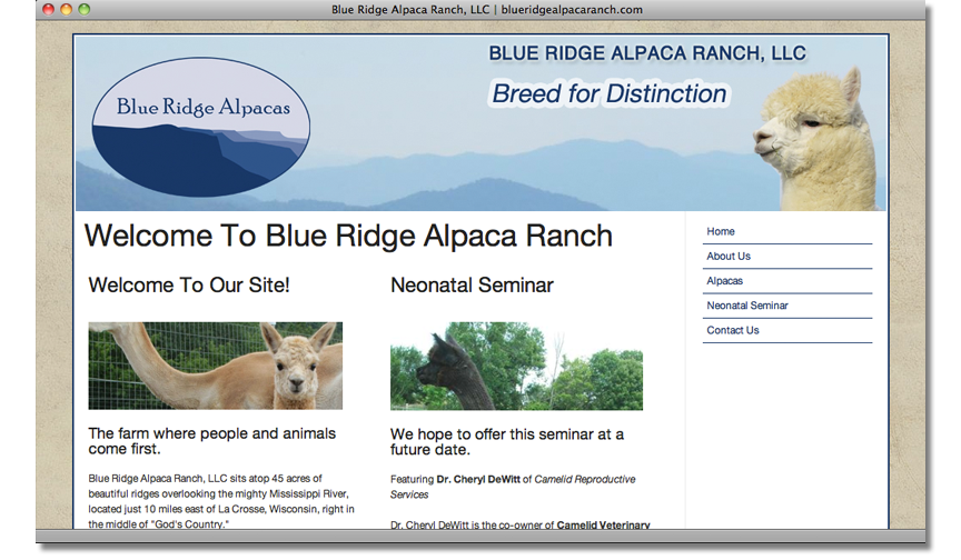 Example_website_3